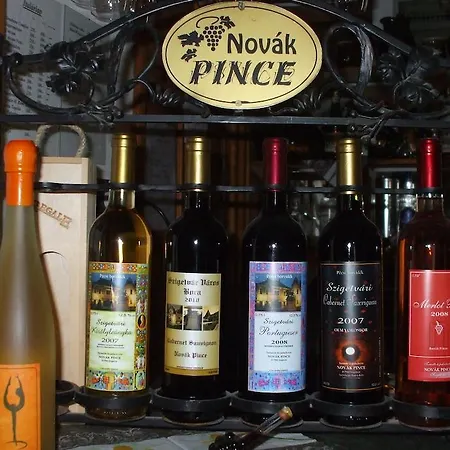 فندق مبيت وإفطار Novak Panzio *