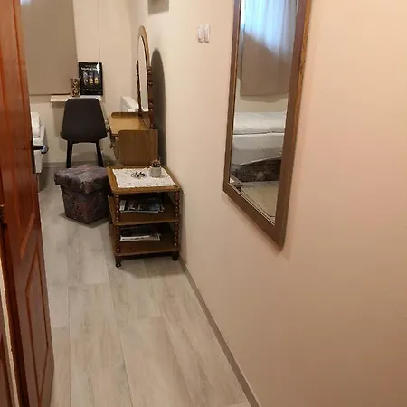Novak Panzio *