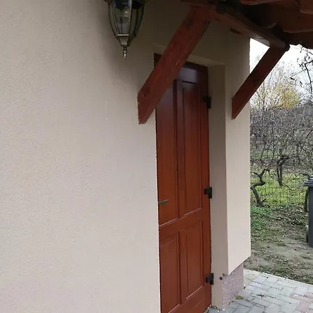 Novak Panzio *